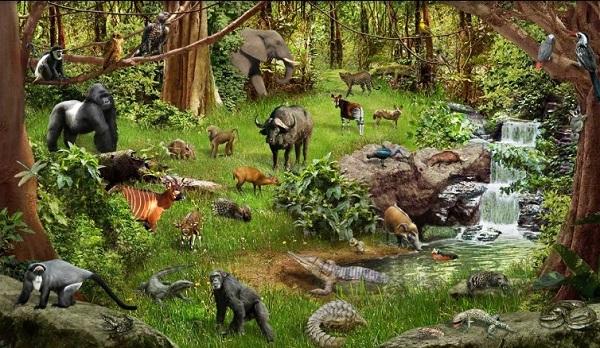 Interaksi Makhluk Hidup Dengan Lingkungan Bagian1 Duniaipa Com Interaksi Makhluk Hidup Dengan Lingkungan Bagian1 Duniaipa Com