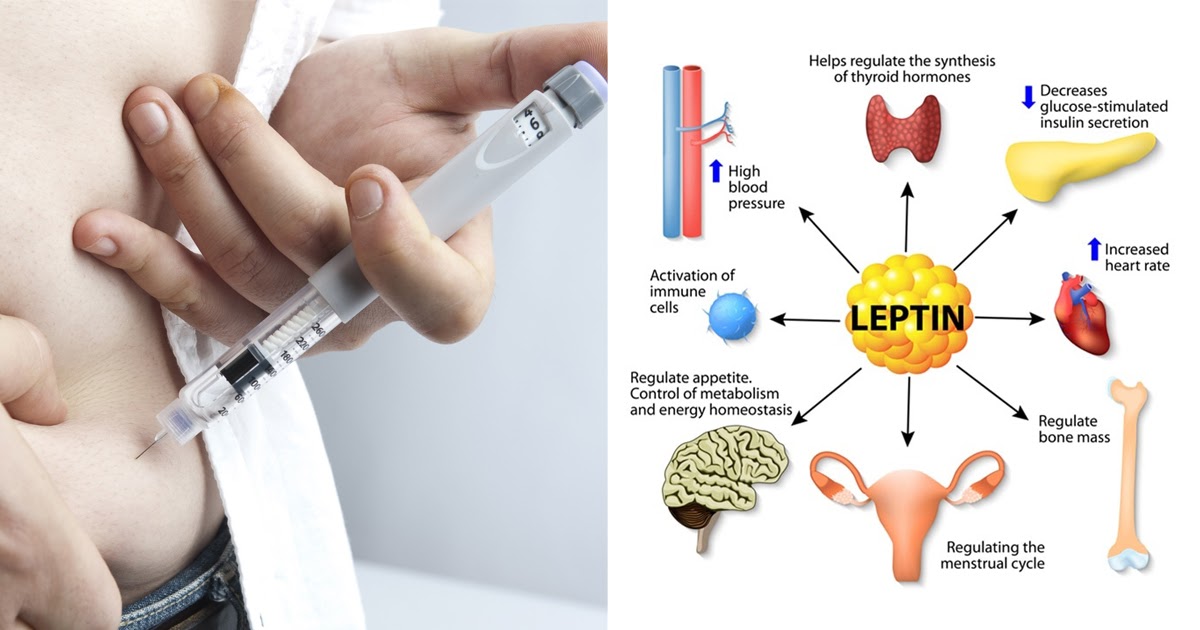 The 4 Main Hormones That Regulate Your Weight and How to Fix Them