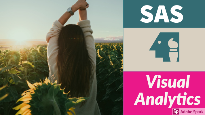 Beginner's Tutorial on SaS Visual Analytics