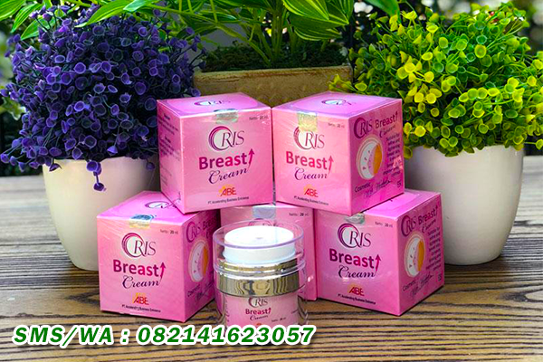 ORIS Breast Cream - Krim Pengencang Payudara