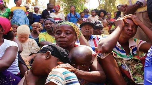 We Call For An End To The War In Cameroon - Afrika Familia - Eze Afrika