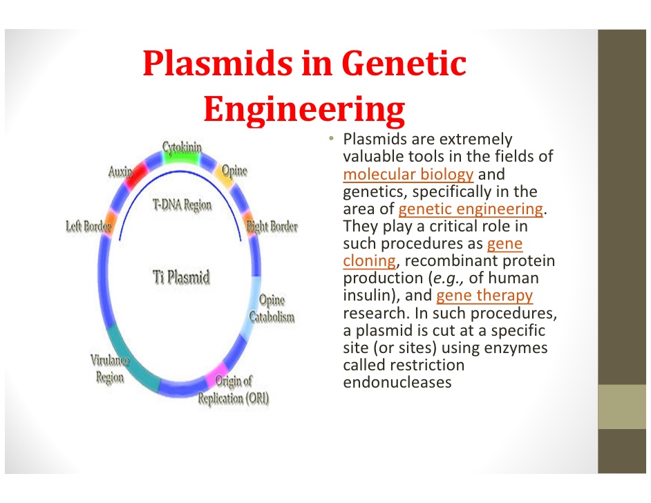 Примеры плазмид. Плазмида строение. Структура плазмид. Структура ti плазмиды. Р плазмиды строение.