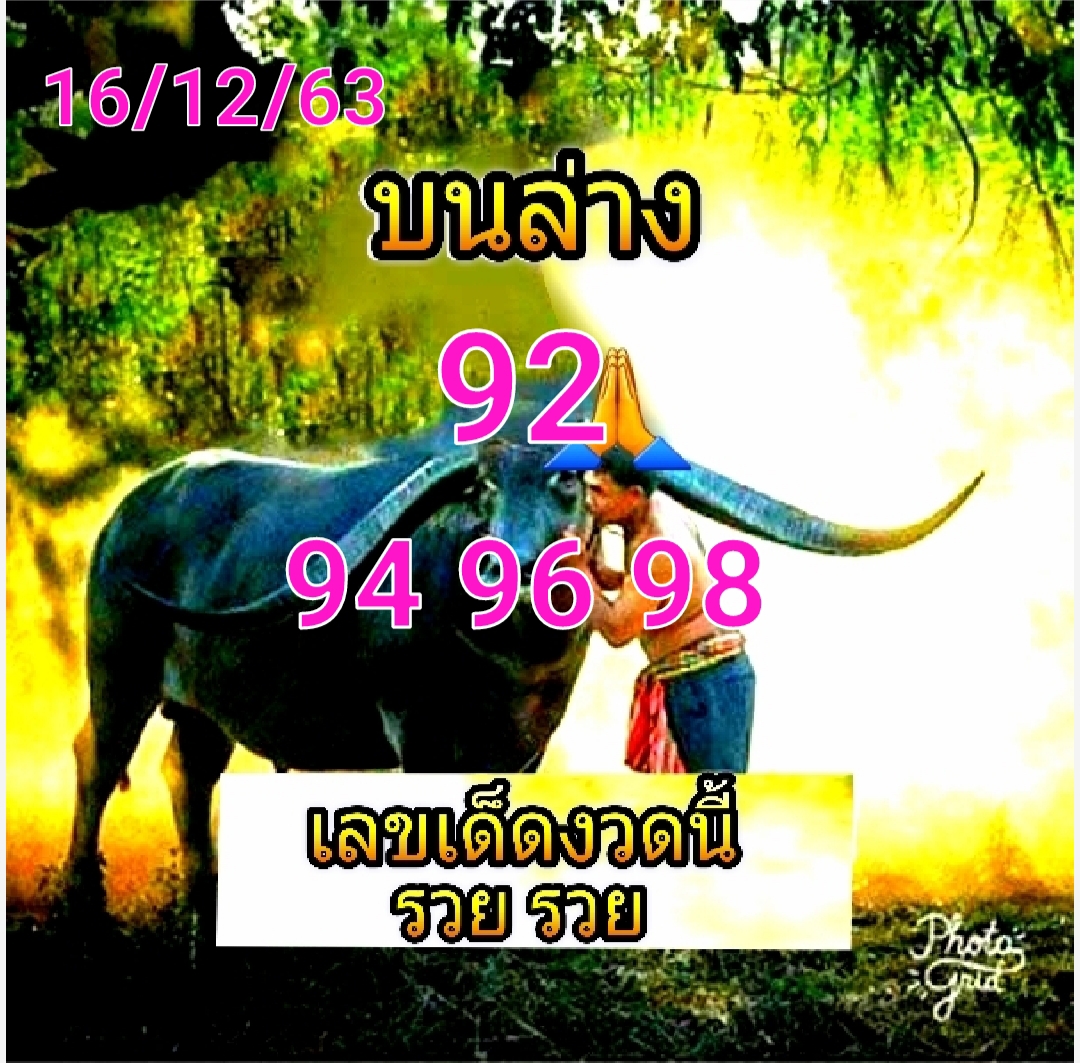 My Image 28