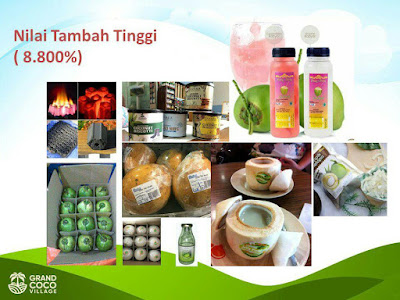 Kavling kebun kelapa di Kalimantan - Investasi Kavling Produktif Grand Coco Village Kavling Kelapa Kebun di Kalimantan - Investasi Kavling Produktif Grand Coco Village