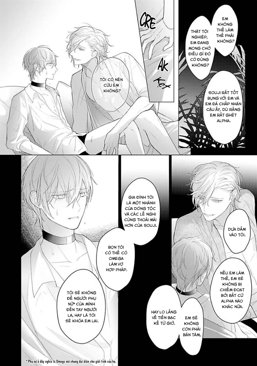 Đọc truyện Omega Không Đứng Đắn Không Thể Rơi Vào Lưới Tình - Chapter 4