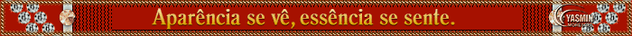 BarrinhaYasmin.gif