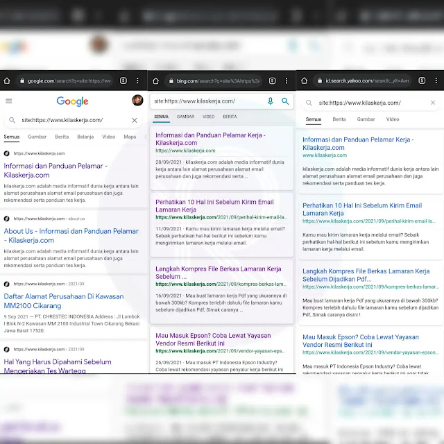 cek postingan blog yang telah terindeks-rasapoetra.com