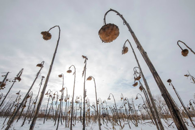 OLTRE IL MURO ARTE e FOTOGRAFIA MIHNEA TURCU PHOTOGRAPHER