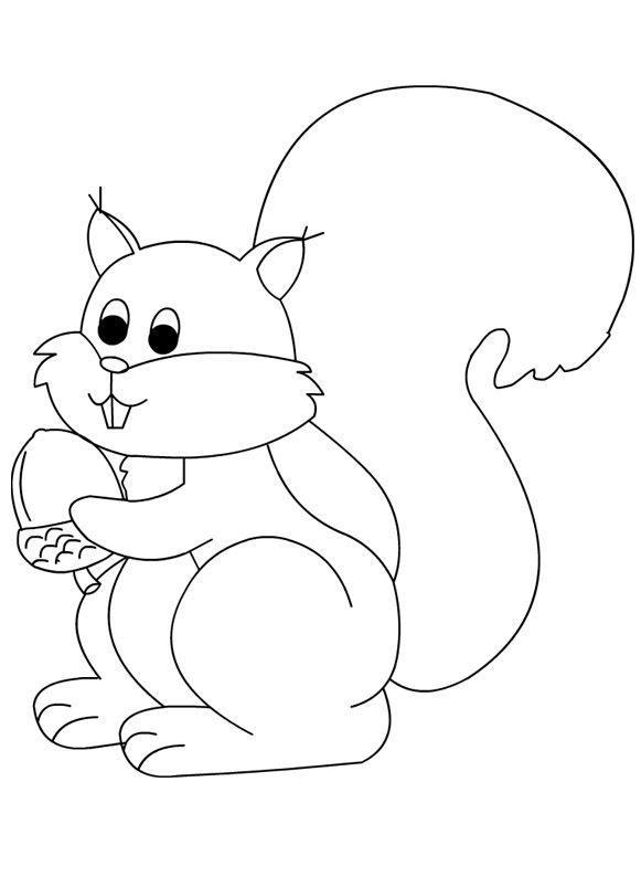 Desenho De Esquilo Bonitinho Para Colorir Artesanato Fácil Crianças PNG ,  Desenho De Esquilo, Desenho De Anel, Desenho Infantil PNG Imagem para  download gratuito