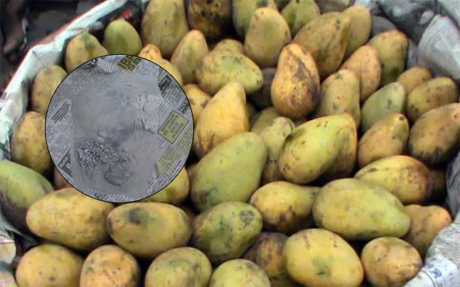 artificially ripened mangoes side effects, mango ripening chemical, calcium carbide mango, how to identify organic mango, how to check mangoes, is calcium carbide harmful to health, कॅल्शिअम कार्बाइड साईड इफेक्ट, कृत्रिमरीत्या पिकवलेला आंबा
