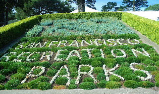 Golden Gate Park jardim com flores brancas