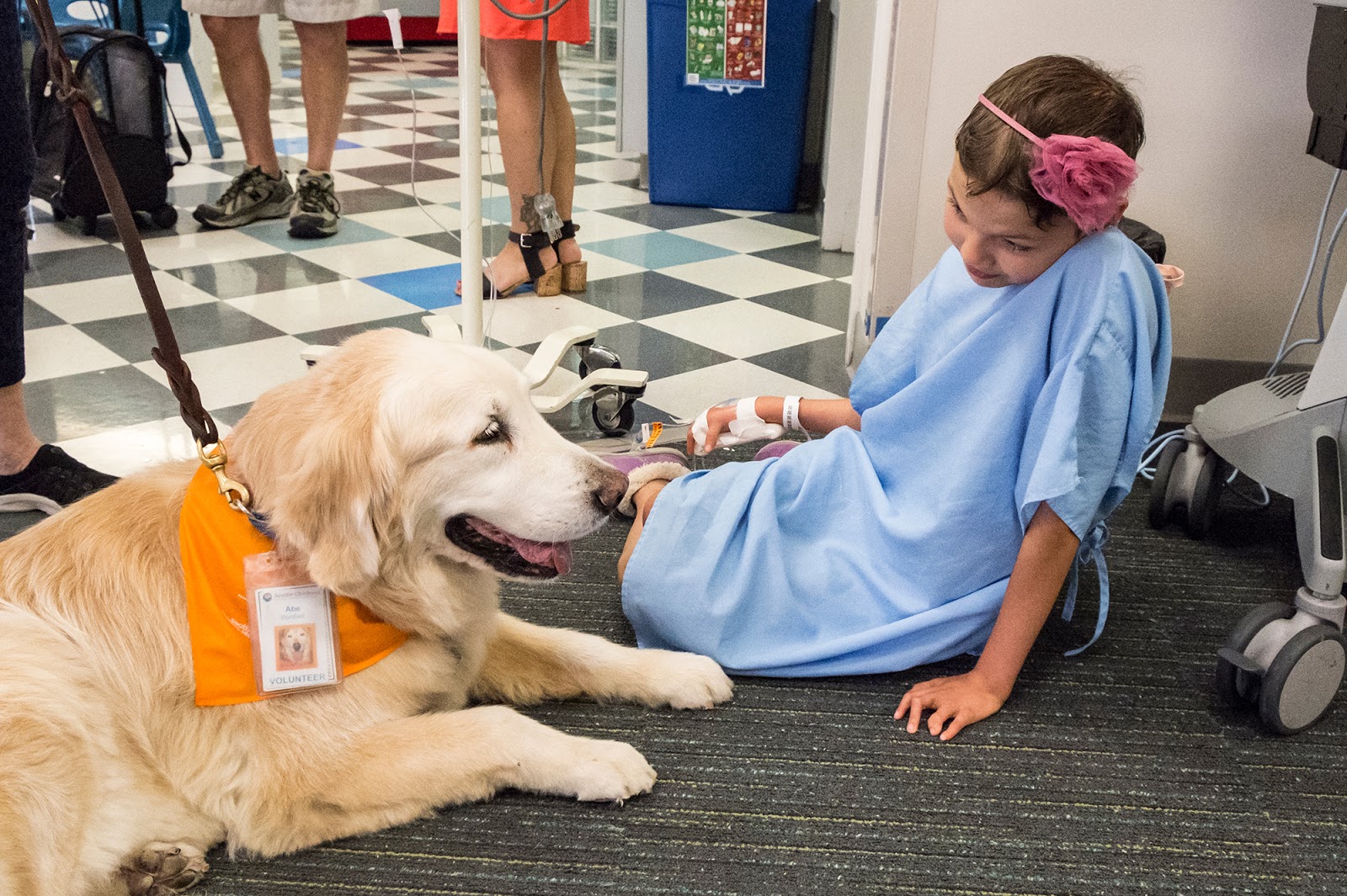 essay on therapy dogs