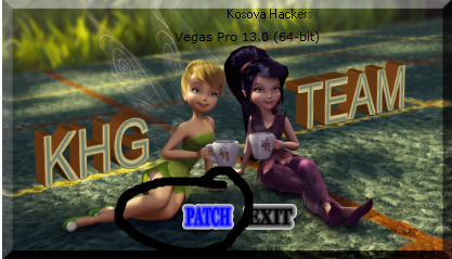 sony vegas pro 11.0 nuber de serial sony vegas pro 11.0 nuber de serial