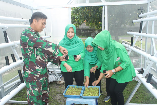 Hidroponik Pacu Produksi Sayuran, Tetap Produktif di Lahan Sempit