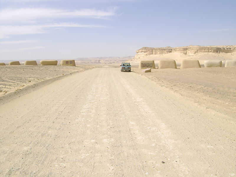 وادي الحيتان - حياة بحرية في قلب الصحراء