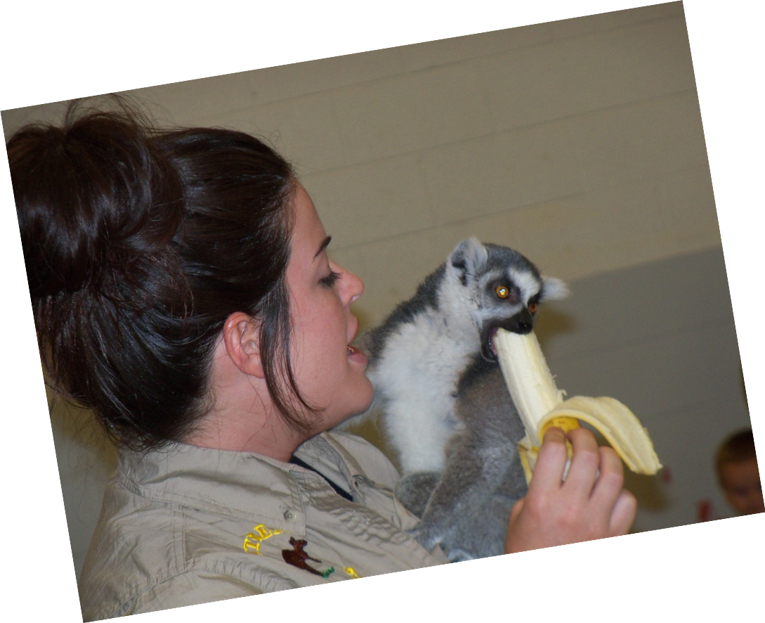 Public Library In Prague