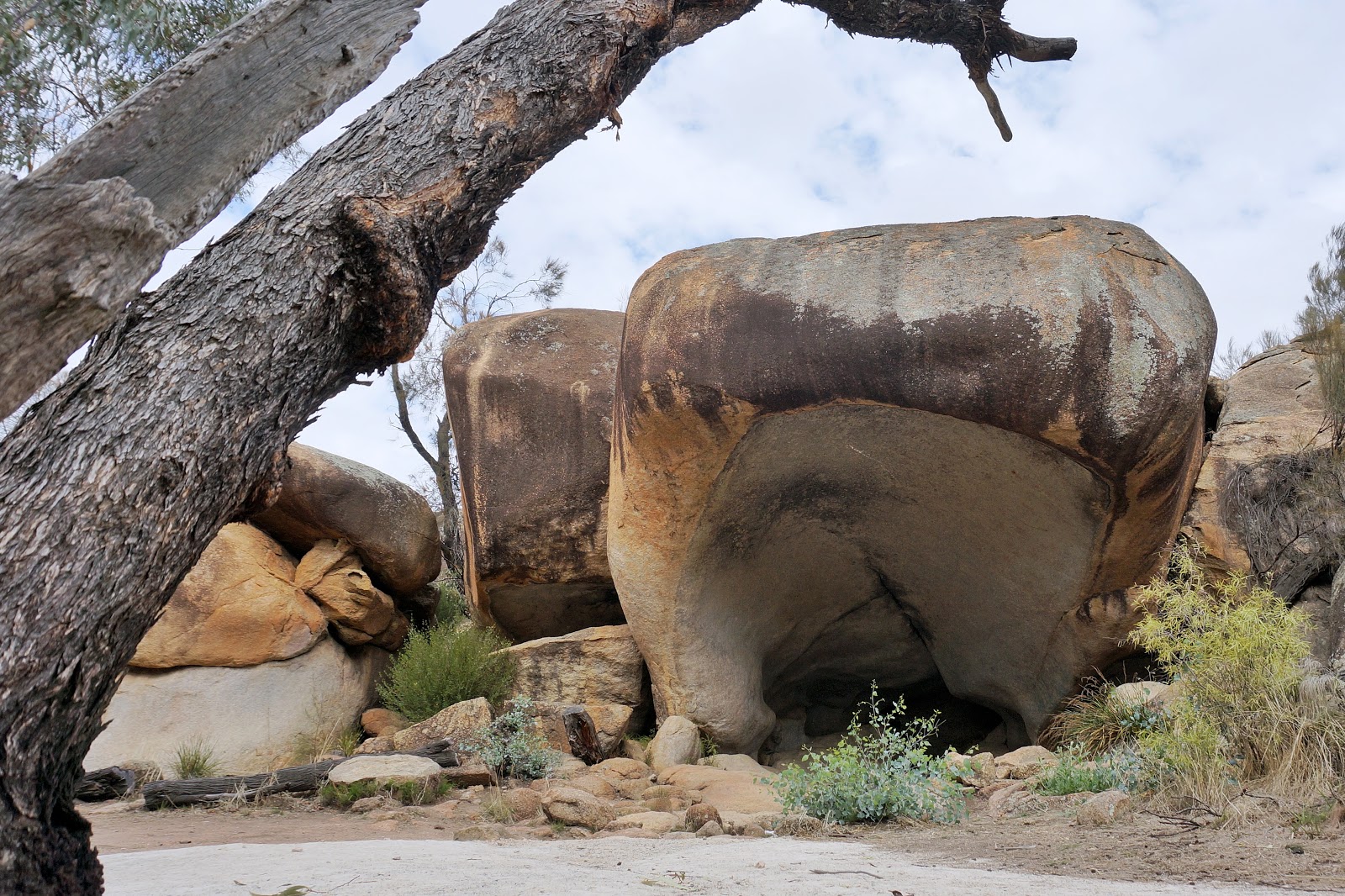 Perth Adventure - Full Day Wave Rock, York, Wildflowers & Aboriginal ...