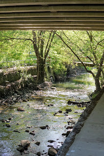 Taylor-Massey Creek