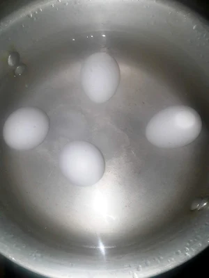 boil-the-eggs