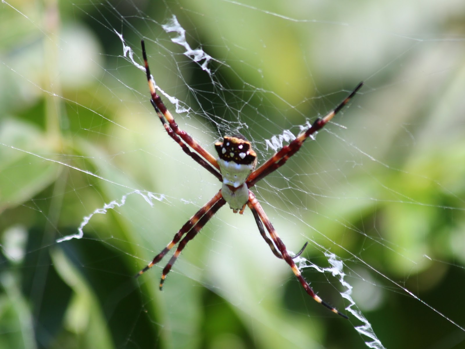 Visions From Key West March 2013
