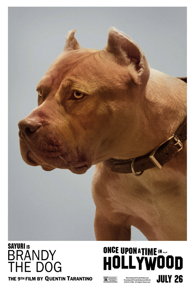 Chien Once Upon A Time In Hollywood