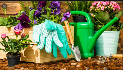 What are some gift suggestions for someone who loves gardening?