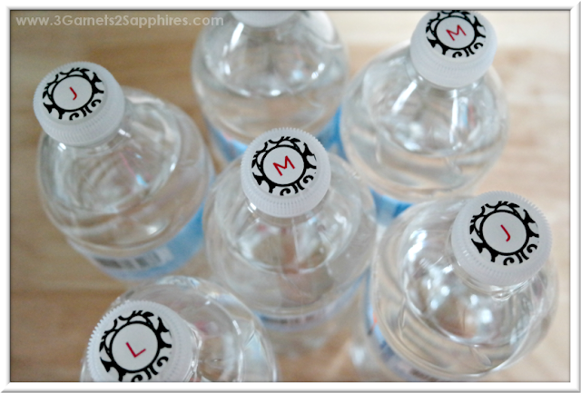 Monogram Water Bottle Labels for Road Trip | 3 Garnets & 2 Sapphires