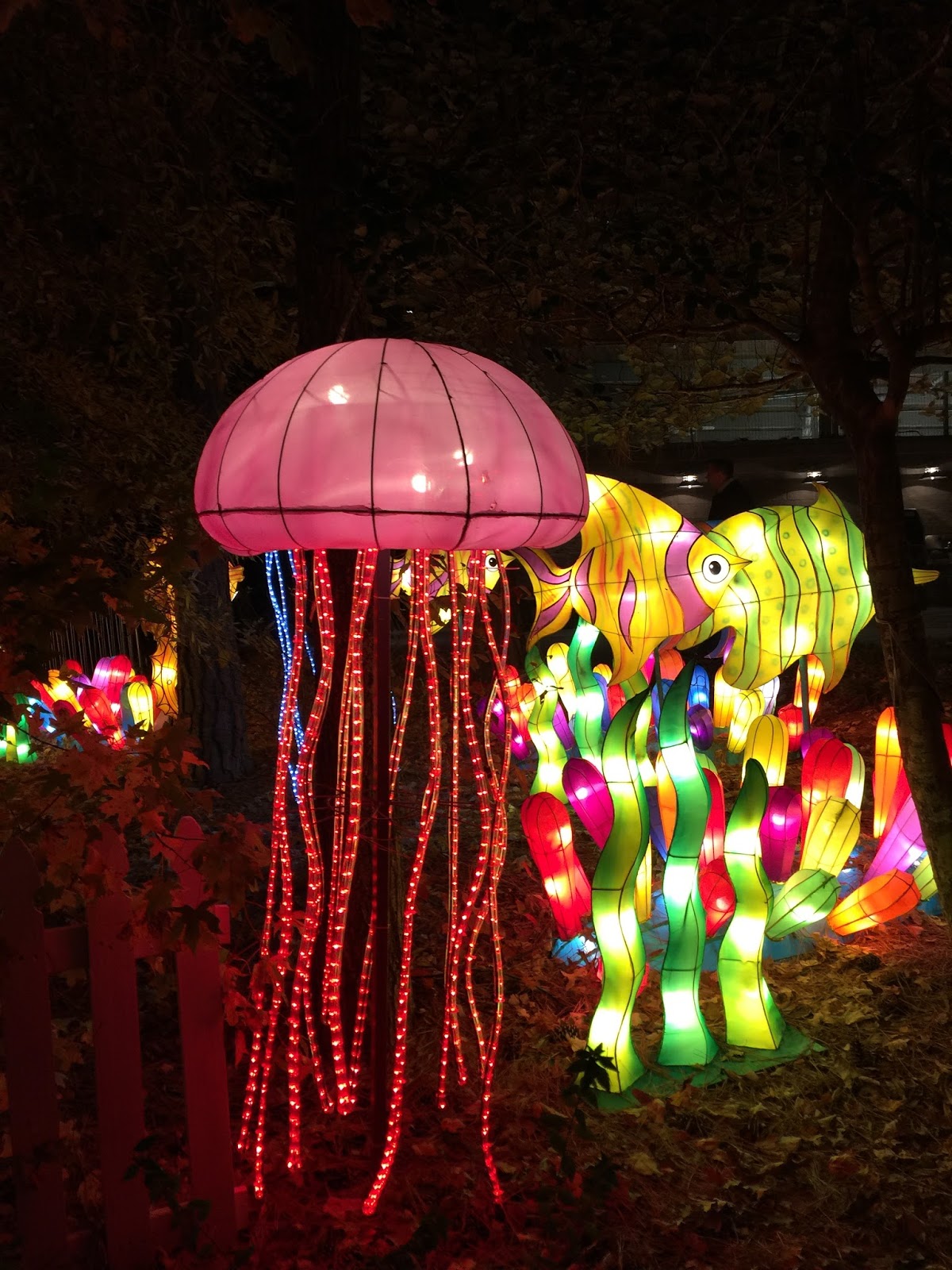 chinese new year cary