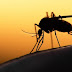 Συνεχίζεται η καταπολέμηση των κουνουπιών την ερχόμενη εβδομάδα στον Δήμο  Θέρμης