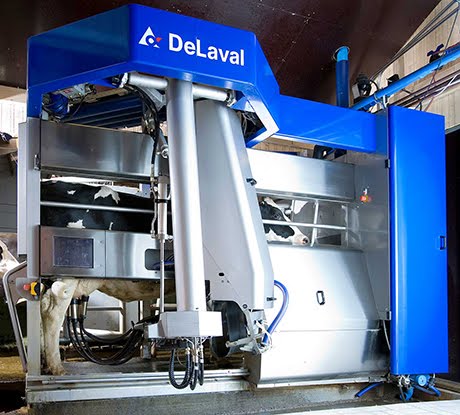 Robot de ordeño con una vaca en su interior