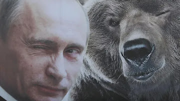Vladímir Putin y la historia detrás de su foto 'montando un oso' que pocos conocen