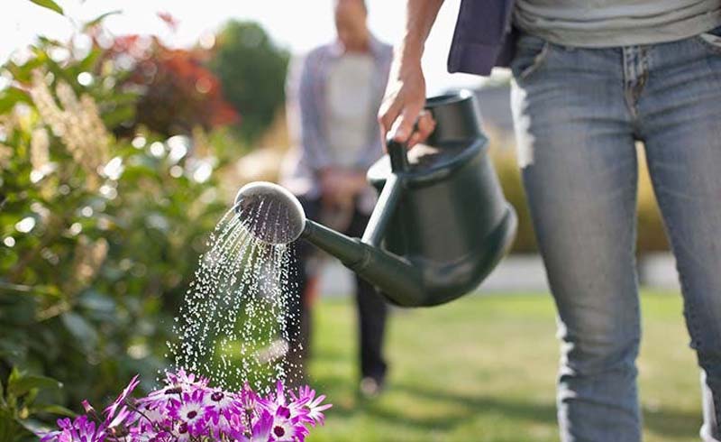 OVERWATERING