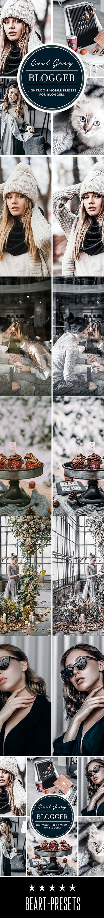 GraphicRiver - Silver Grey Lightroom Preset 26660424 2 BEART GREY EVANTO