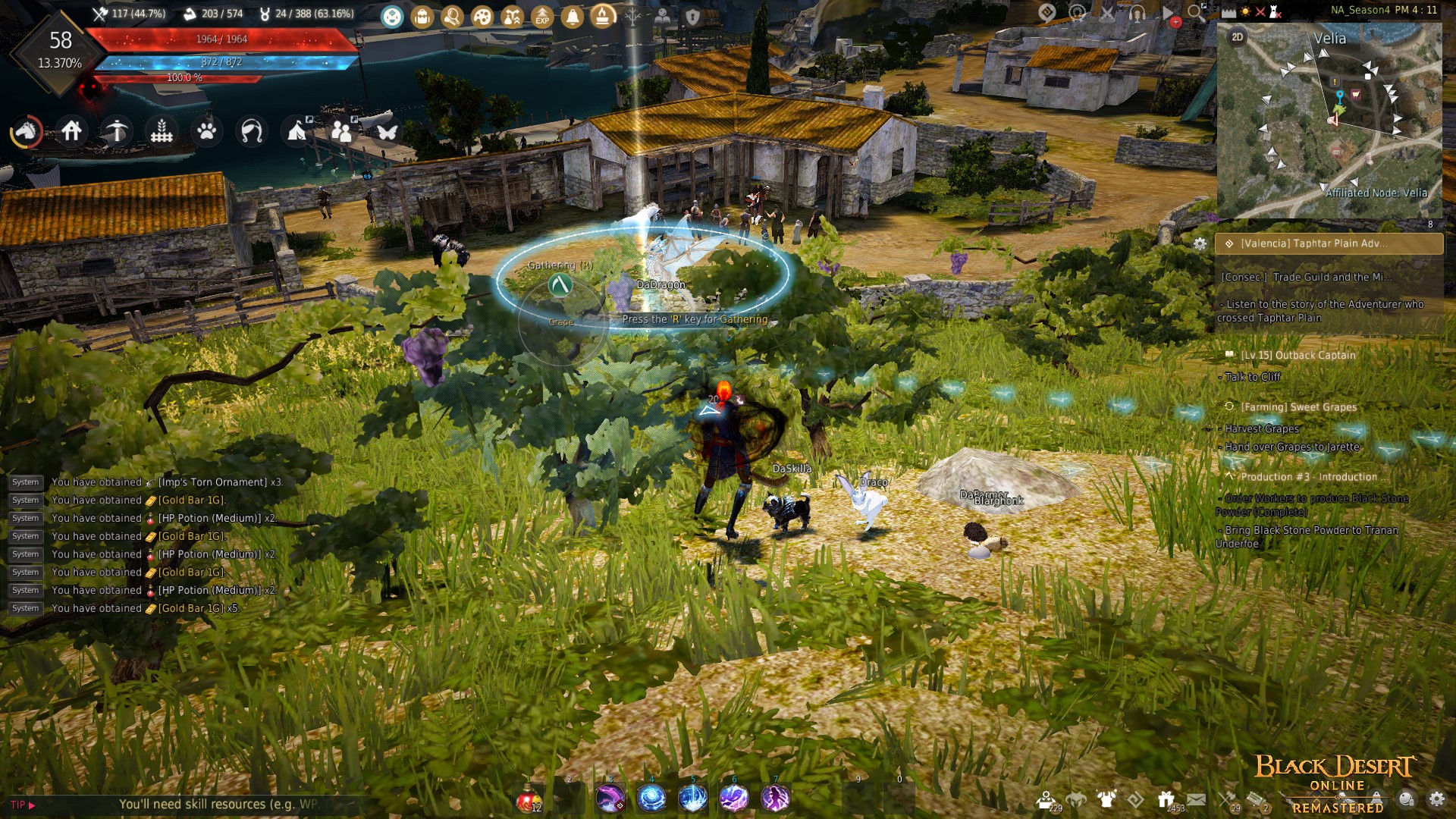 Black Desert Online Sweet Grapes quest How to get grapes with out a farm