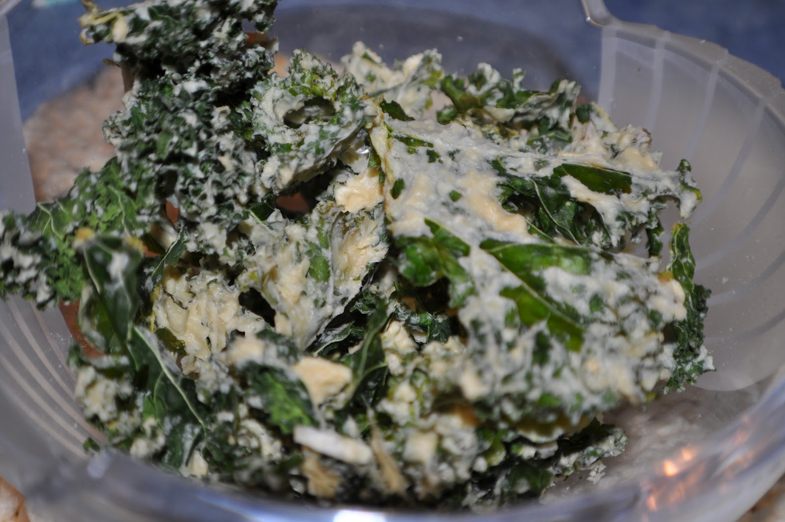 Natural and Organic Lifestyle "Sour Cream" and Onion Kale Chips