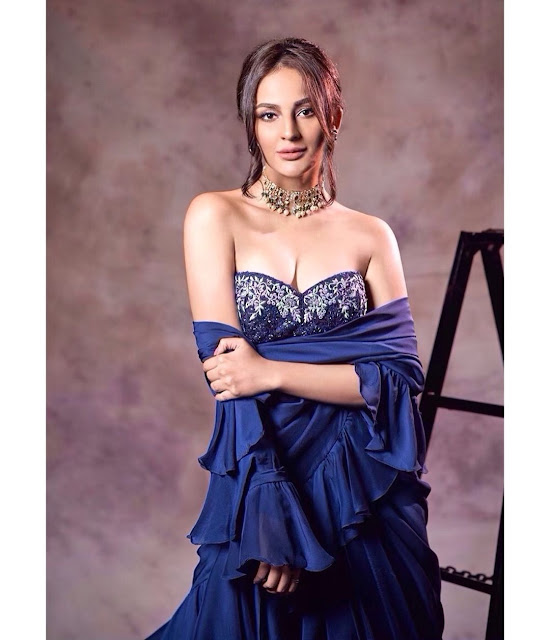 Seerat Kapoor  (Indian Actress) Wiki, Biography, Age, Height, Family, Career, Awards, and Many More...