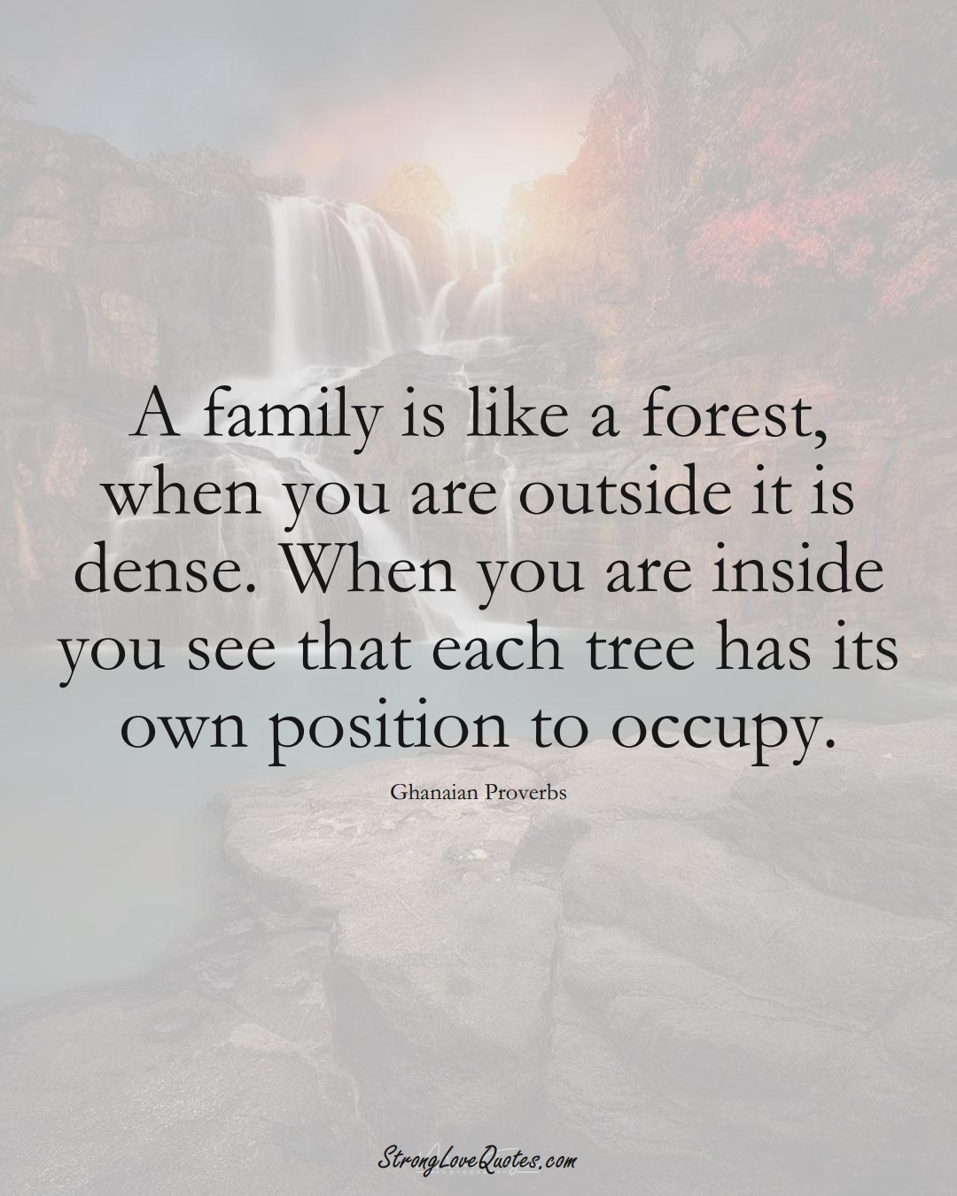 A family is like a forest, when you are outside it is dense. When you are inside you see that each tree has its own position to occupy. (Ghanaian Sayings);  #AfricanSayings