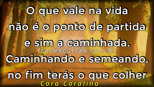 Frases de Reflexão sobre o Fim O que vale na vida não é o ponto de partida e sim a caminhada. Caminhando e semeando, no fim terás o que colher