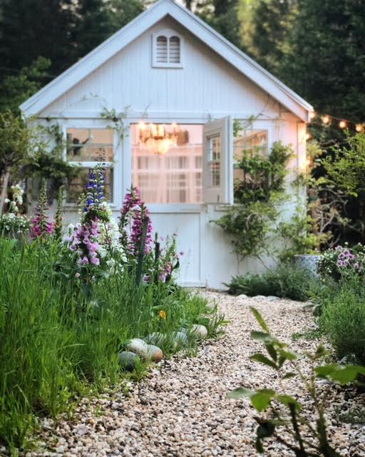 French Country Fridays-  Foxgloves in a cottage garden