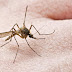  ΙΣΑ:Mέτρα ατομικής προστασίας από τα κουνούπια για την πρόληψη του ιού του Δυτικού Νείλου