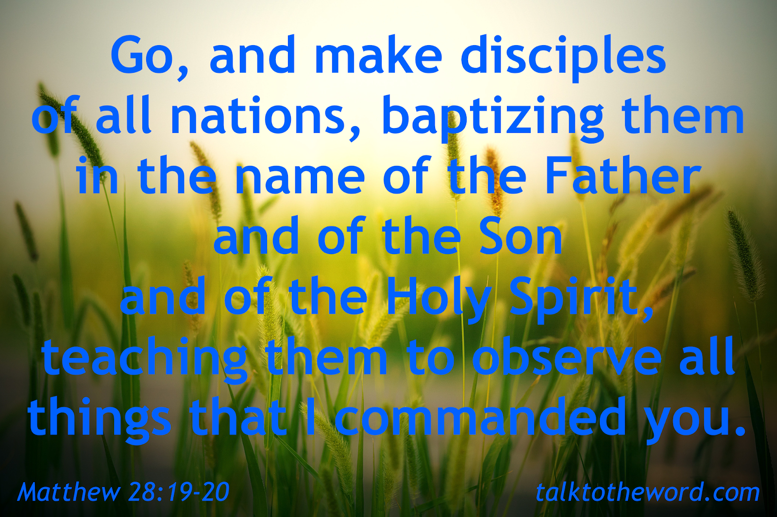 Matthew 28 19 20 pin-by-josie-couch-on-scripture-the-holy-bible-make-disciples-of