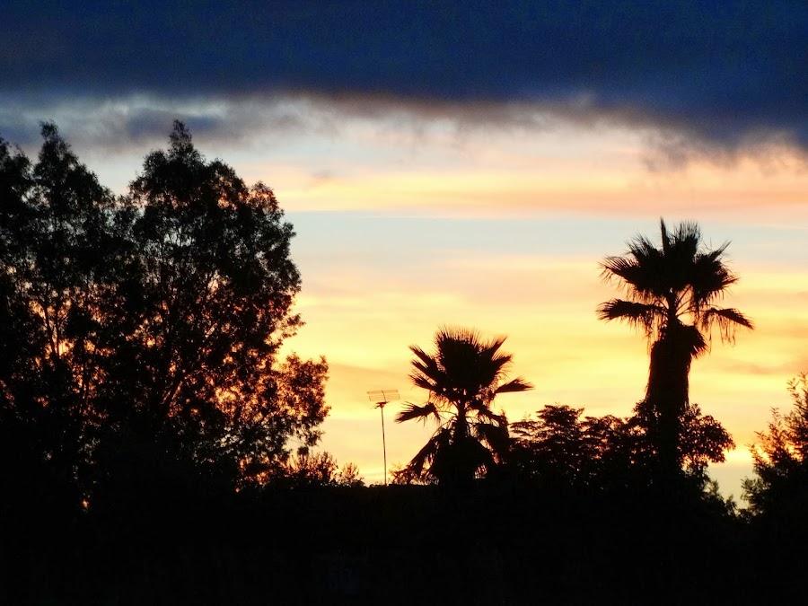 AMANECER EN EL TERRAO