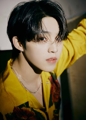 S.coups (SEVENTEEN) Profile And Details | TheWaoFam