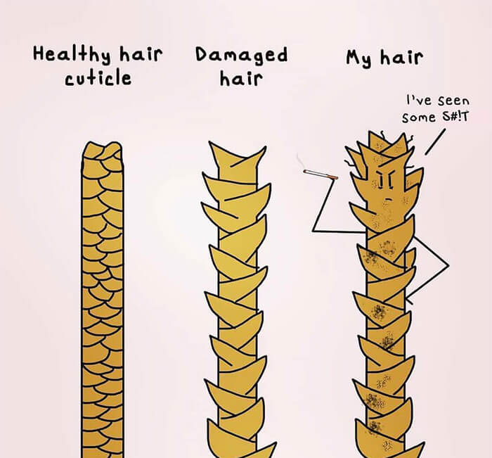Hilarious Hairstylers' Memes To Make Clients Feel A Bit Embarrassed Hilarious Hairstylers' Memes To Make Clients Feel A Bit Embarrassed