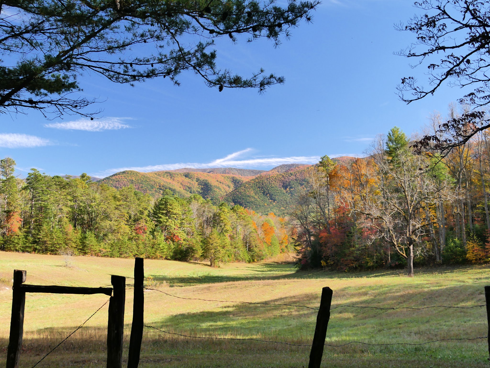American Travel Journal Cades Cove Great Smoky Mountains National Park