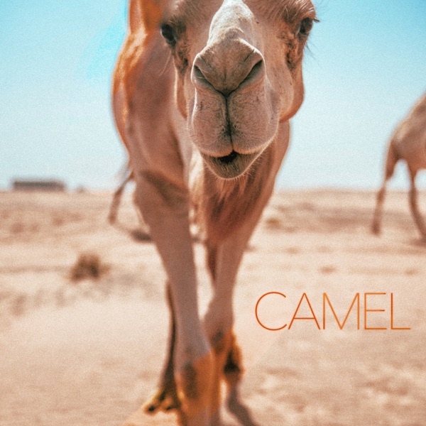 Erin Lee – CAMEL – Single