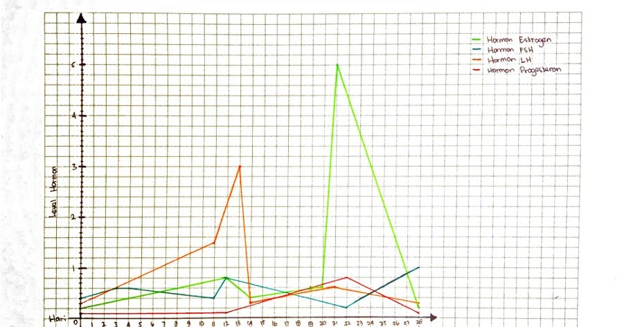 Gambar Grafik Level Hormon Dalam Siklus Menstruasi Guru Galeri Gambar Grafik Level Hormon Dalam Siklus Menstruasi Guru Galeri