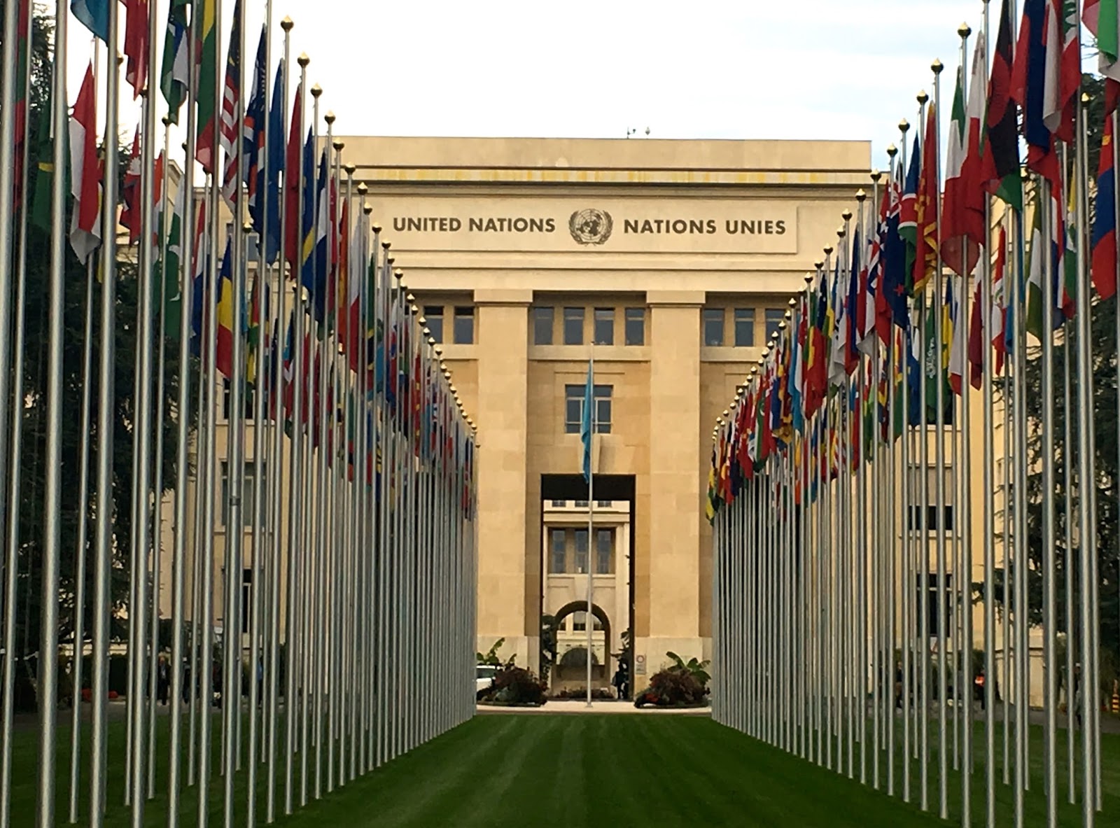 Нью йорк оон