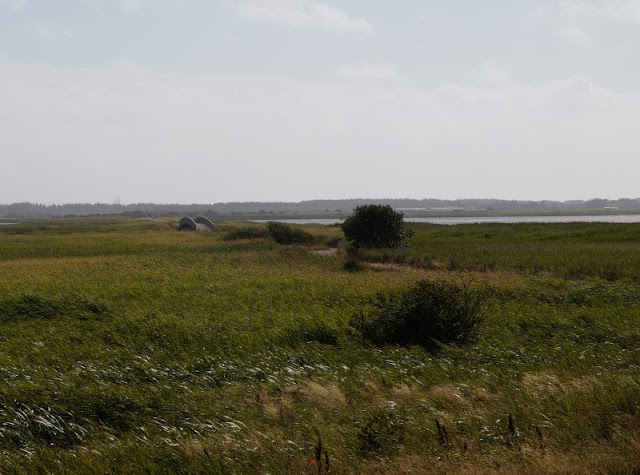 Rund um den Ringkøbing Fjord, Teil 1: Drei Badestellen und eine weiße Kirche. Die Badestelle bei Baggers Daemning ist zugleich ein Surfspot.