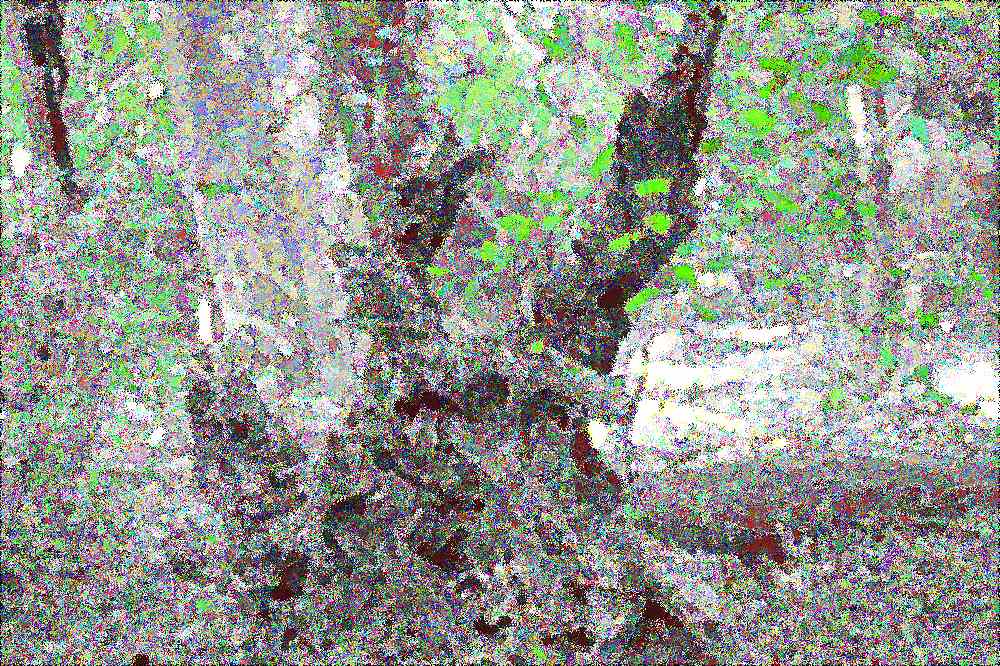 공주 계룡산 갑사 공주 계룡산 갑사